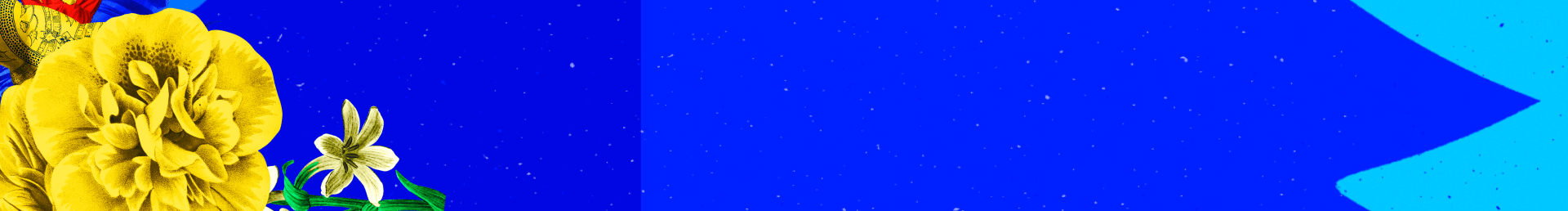 banner banner